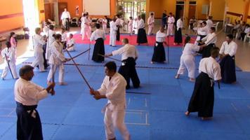 Learn Aikido movements 🥋 ภาพหน้าจอ 1