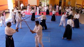 Leer Aikido-bewegingen 🥋 screenshot 1