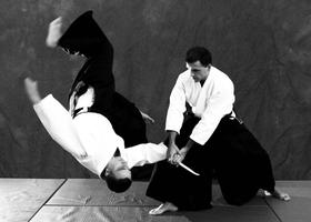 Apprendre les mouvements de l'Aïkido 🥋 capture d'écran 2