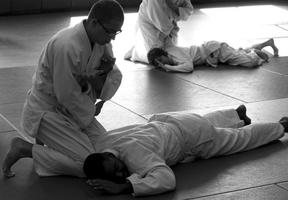 Leer Aikido-bewegingen 🥋 screenshot 3