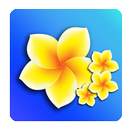 Learn Balinese APK