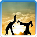 Learn Capoeira biểu tượng