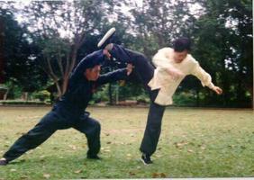 Learn Kung Fu स्क्रीनशॉट 1