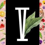 Parque V by Cuquita Cookita