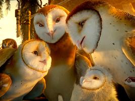 The Owls of Ga'Hoole پوسٹر