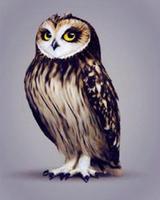 The Owls of Ga'Hoole 스크린샷 3