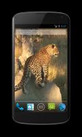 Leopardo Live Wallpaper captura de pantalla 2