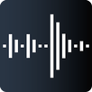 LEPSI - Watch Analyzer APK
