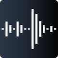 LEPSI - Watch Analyzer