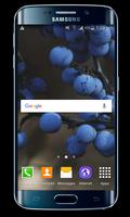 LG G5 Wallpapers HD capture d'écran 1