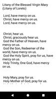 Litany of Loreto (Blessed Virgin Mary) Audio screenshot 2