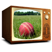 Live-tv-score APK