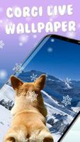 3D Rump Shaking Corgi Dog Theme&Live wallpaper تصوير الشاشة 1