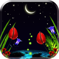 Cool Night live wallpaper