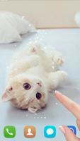 برنامه‌نما Cute cat Live wallpaper عکس از صفحه