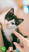 برنامه‌نما Cute cat Live wallpaper عکس از صفحه