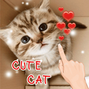 Cute Love Cats APK