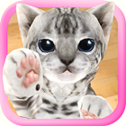3D Cute Cat icône