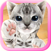 3D Cute Cat biểu tượng