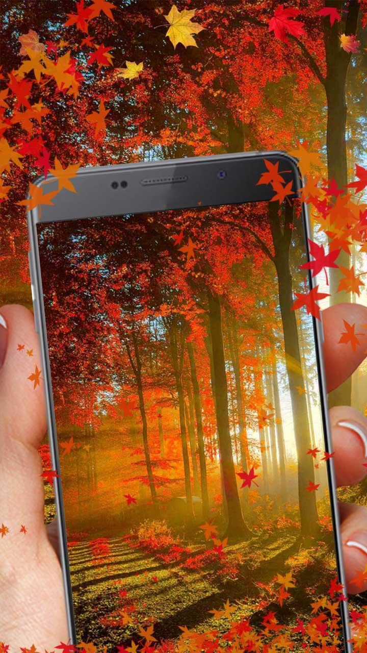 Daun Maple Bunga Musim Gugur For Android Apk Download
