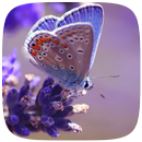 Butterfly Live wallpaper APK