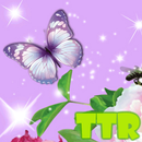 papillon lwp APK