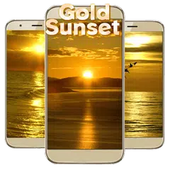 Deluxe Luxury Gold Coast APK Herunterladen