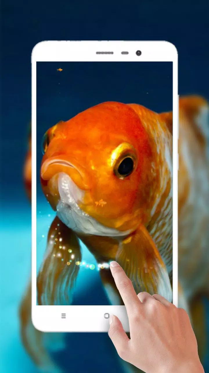 Gold Fish Live Wallpaper APK for Android Download Gold Fish Live Wallpaper APK for Android Download