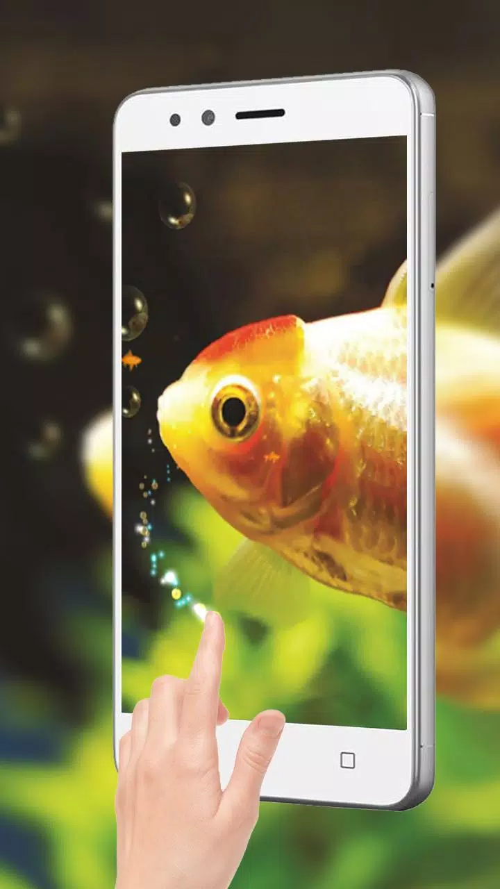Gold Fish Live Wallpaper APK for Android Download Gold Fish Live Wallpaper APK for Android Download