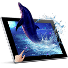 Blue Dolphin live Wallpaper ไอคอน
