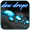 Dew Drops Water