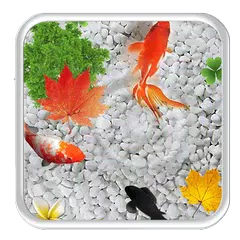 KOI Cool Fish Live Wallpaper APK download