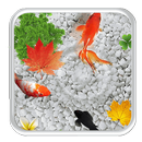 KOI Cool Fish Live Wallpaper APK