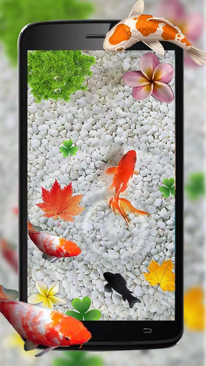 KOI Cool Fish Live Wallpaper APK for Android Download