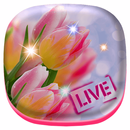 Flower Bloom Live Wallpaper APK