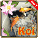 Koi pond 3D live wallpaper icon