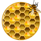 Honeycomb Bee Wallpaper icône