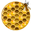 Honeycomb Bee Wallpaper