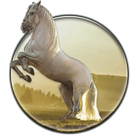 Running Horse HD Wallpaper icône