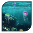 Jellyfish Live Wallpaper