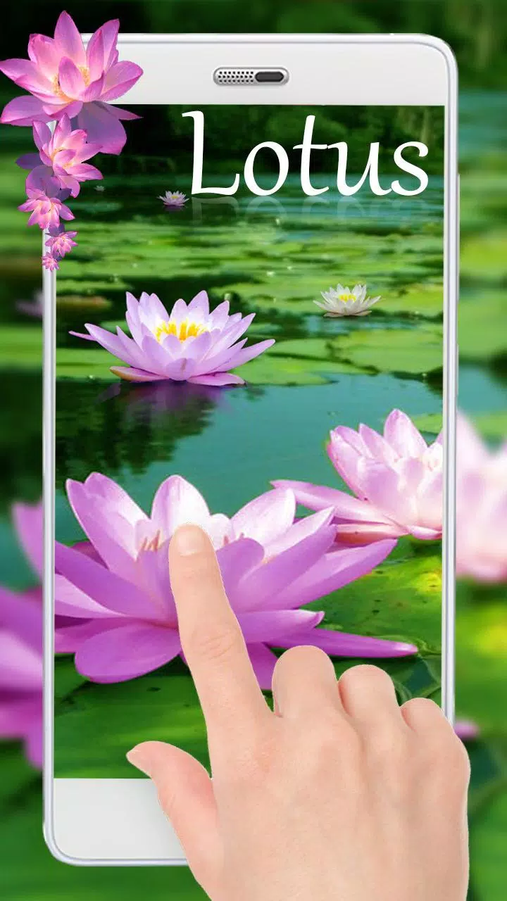 Android向けの蓮の花ライブ壁紙 Apkをダウンロードしましょう