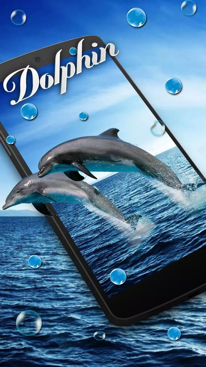 Vivid Dolphin Wallpaper APK for Android Download Vivid Dolphin Wallpaper APK for Android Download