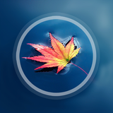 Maple Leaves Live Wallpaper icône
