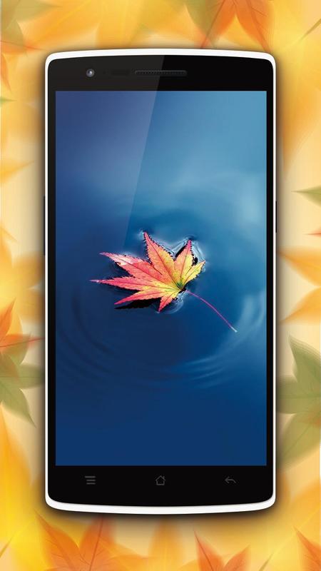 Pilihan perdagangan daun maple