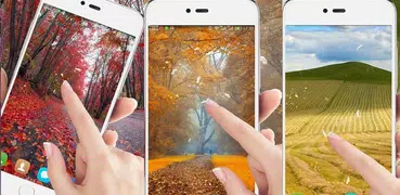 Autumn Scenery Live Wallpaper