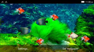 Aquarium Live WallPaper 海报