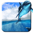 Swimming Live Dolphin