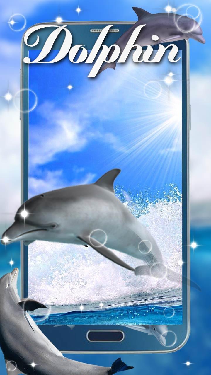 Swimming Live Dolphin For Android Apk Download