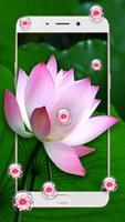 Pink Lotus Theme Affiche