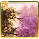 Purple spring tree background icône